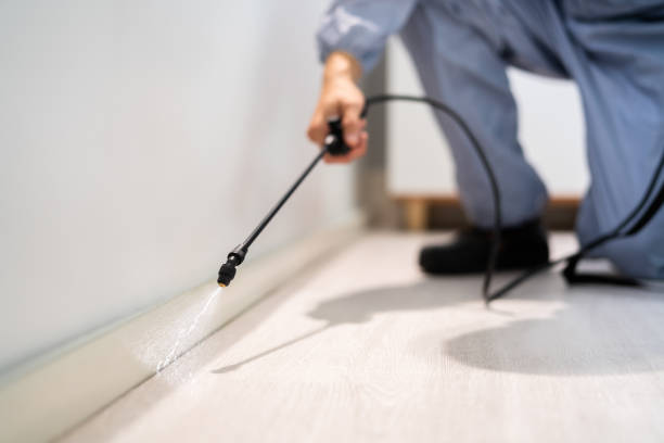 Rodent Entry Point Assessment in Greenwood Lake