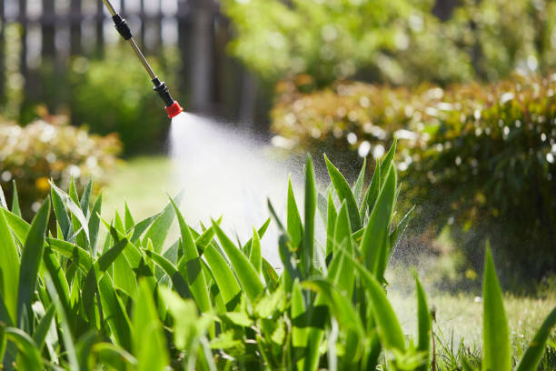 Tamper-Resistant Bait Stations for Rodents in Greenwood Lake