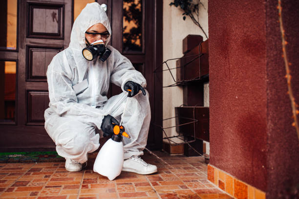 Attic and Crawl Space Rodent Treatment in Greenwood Lake