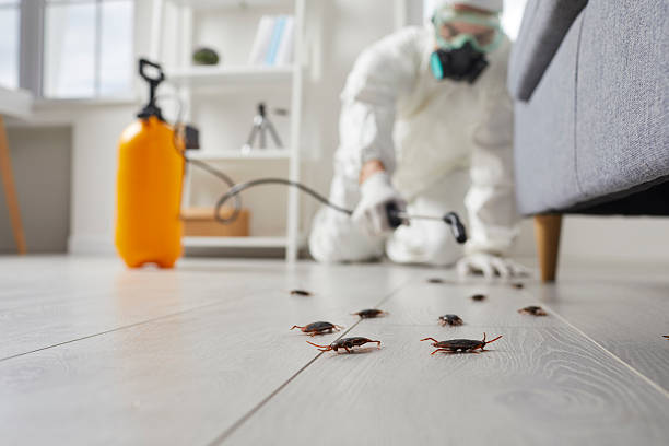 Commercial Rodent Management in Greenwood Lake